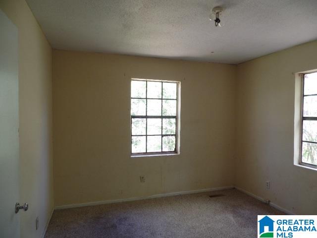 1069 32nd Street North Birmingham, AL 35218 - Photo 8 of 13