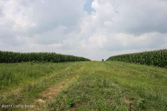 763 Drennon Road New Castle, KY 40050 - Photo 24 of 32 IMG_5446