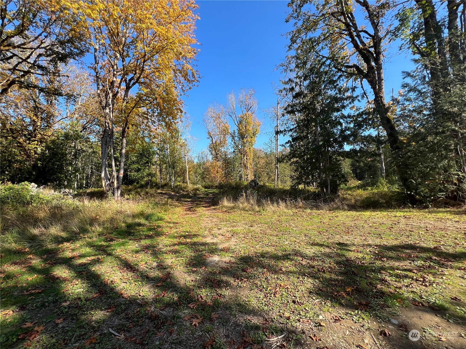 147 Tree Haven Road Quilcene, WA 98376 - Photo 1 of 17 Gallery Image 1