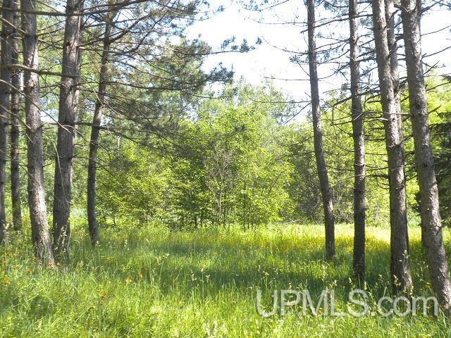 E8062 Sanders Road Bessemer, MI 49911 - Photo 10 of 34 Gallery Image 10