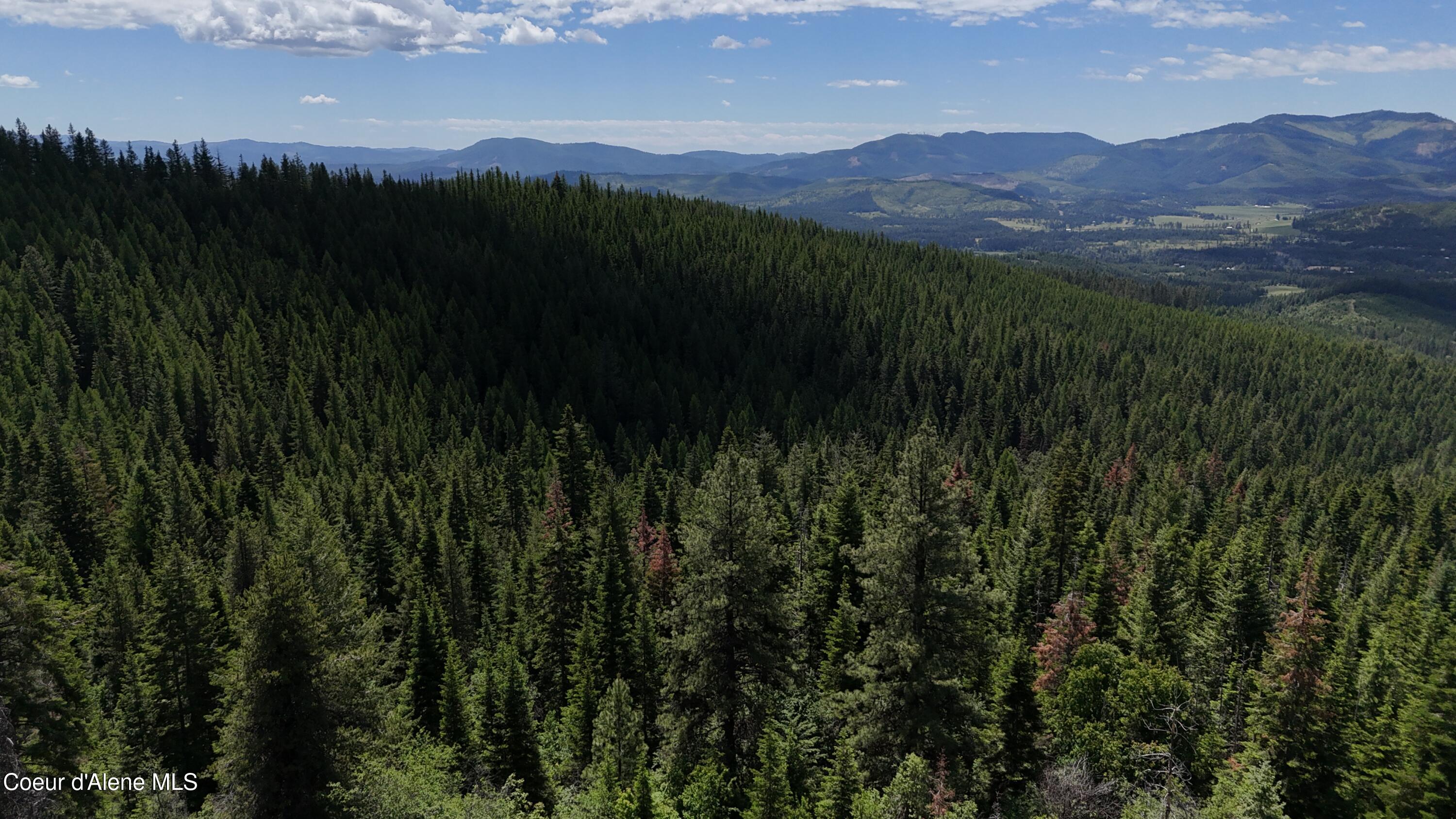2407 Crystal Peak Road Fernwood, ID 83830 - Photo 4 of 9 3