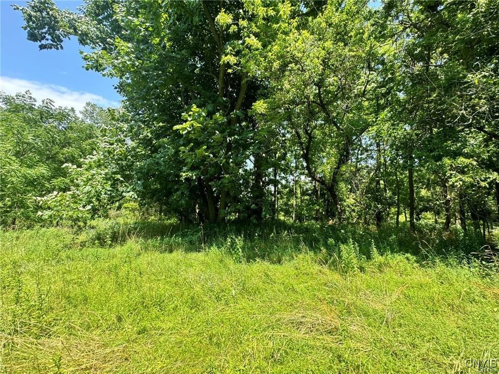 1253 Starr Road Cortlandville, NY 13045 - Photo 9 of 12