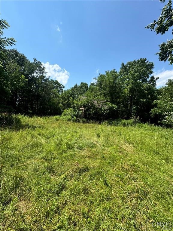 1253 Starr Road Cortlandville, NY 13045 - Photo 10 of 12