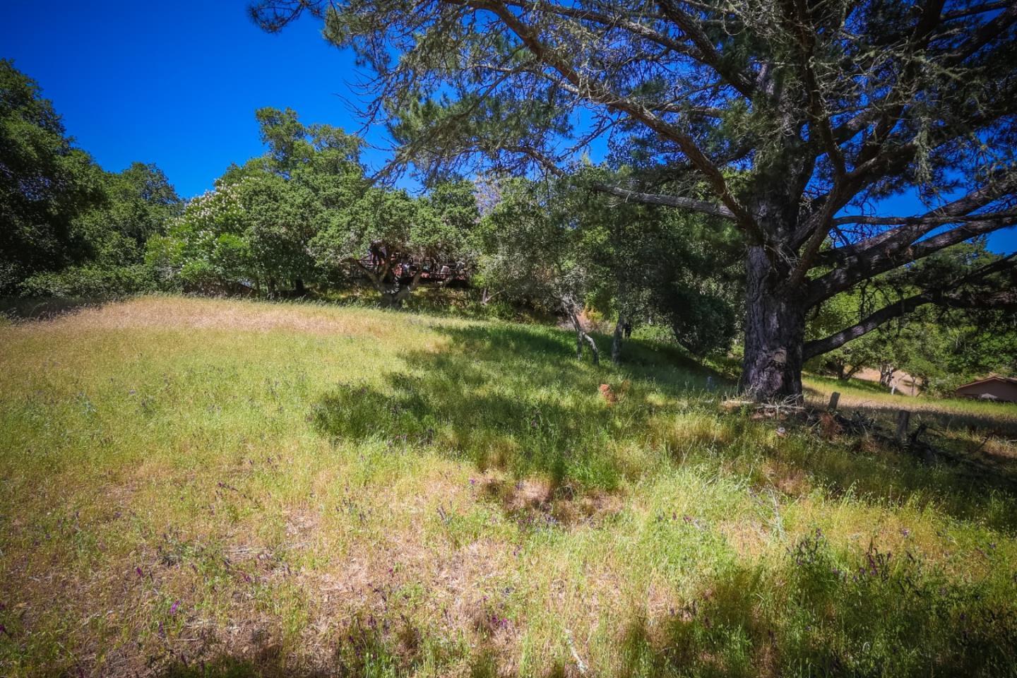 0 Sherman Santa Cruz, CA 95066 - Photo 3 of 8 a view of a yard