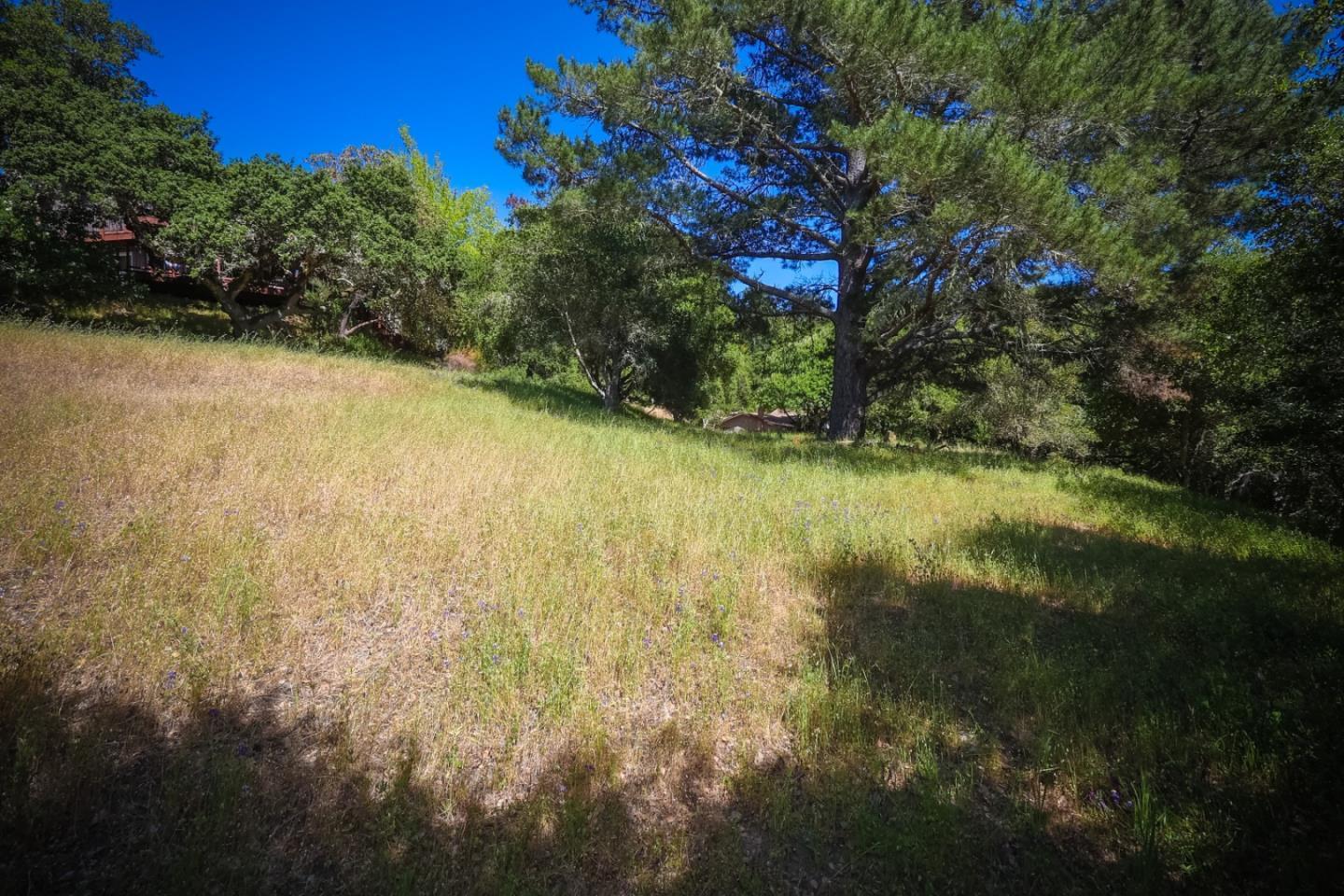 0 Sherman Santa Cruz, CA 95066 - Photo 4 of 8 a view of a yard with a tree