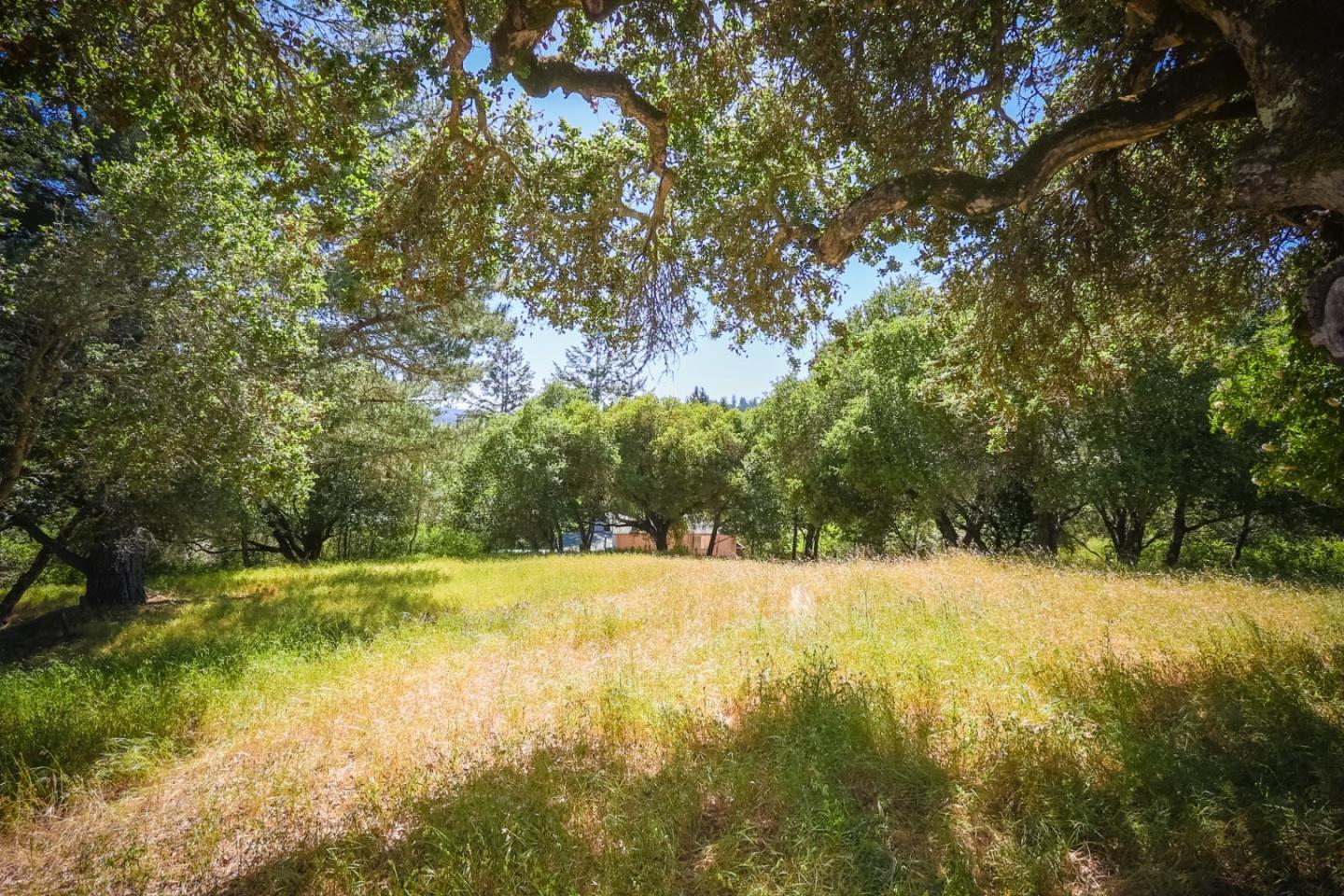 0 Sherman Santa Cruz, CA 95066 - Photo 5 of 8 a view of an outdoor space and a yard