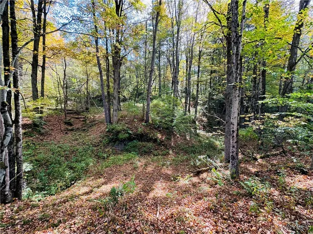 $215,000 | 5537 County Road 16, Angelica, NY 14709