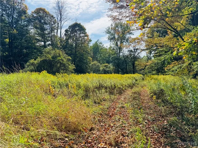 $215,000 | 5537 County Road 16, Angelica, NY 14709