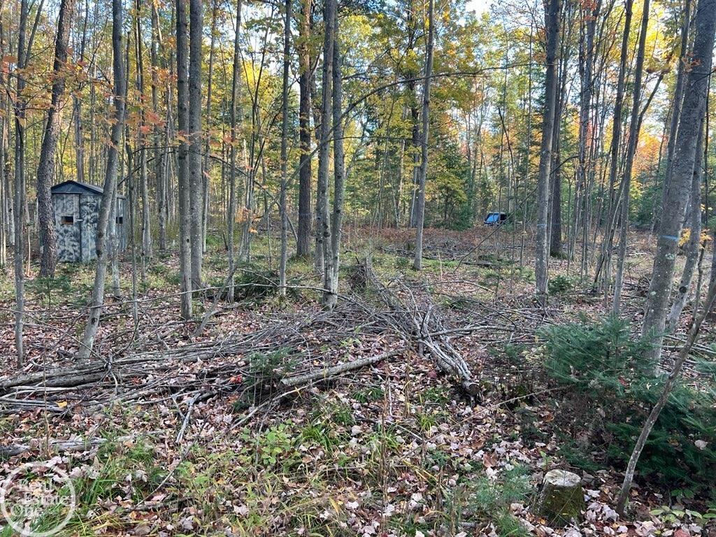 0 Lansing Road Roscommon, MI 48653 - Photo 5 of 12 Gallery Image 5