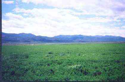 Lot 2 Summit Valley, Unit 1 Parowan, UT 84761 - Photo 1 of 1 Primary Photo