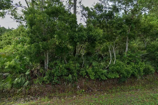 $26,900 | 0 Carter South Rd Street, St. Augustine, FL 32084