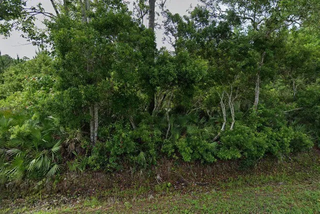 $26,900 | 0 Carter South Rd Street, St. Augustine, FL 32084