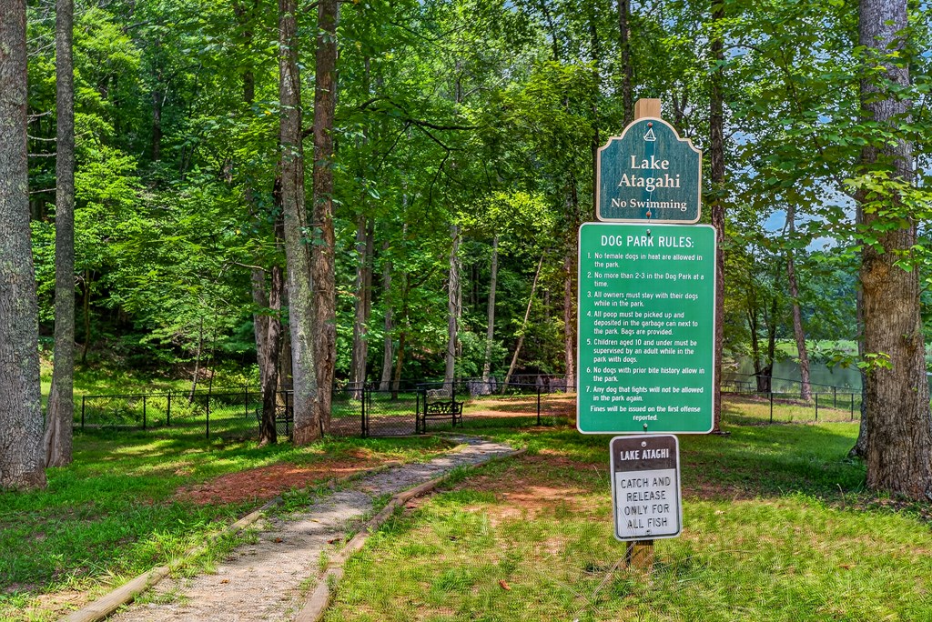 986 Mountain Oak Road Ellijay, GA 30536 - Photo 45 of 59 Gallery Image 45