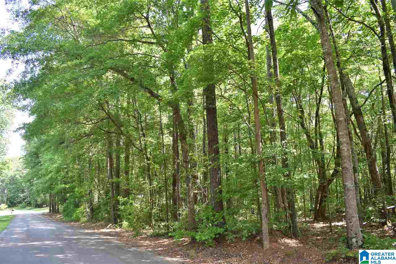 Cauthen Circle Roanoke, AL 36274 - Photo 3 of 4