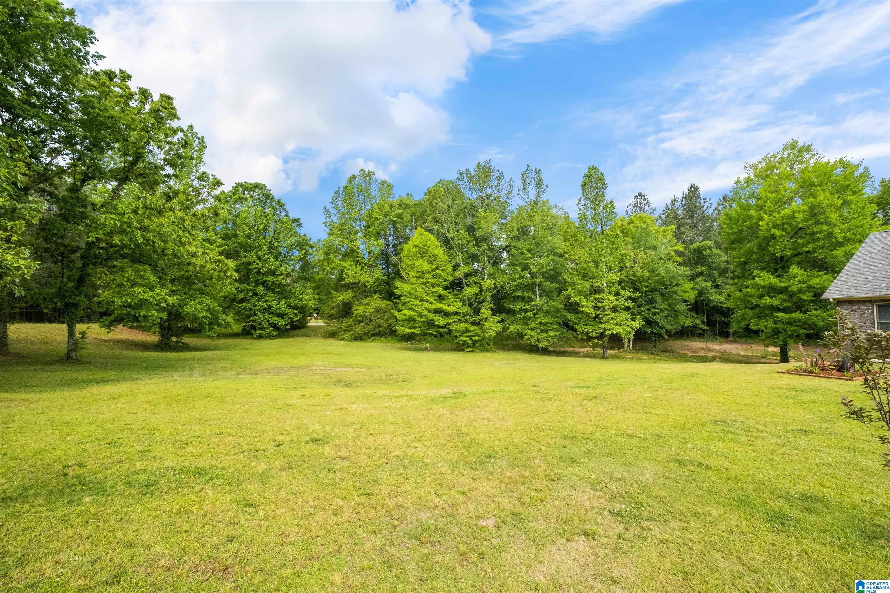 5737 Grey Hill Road West Blocton, AL 35184 - Photo 50 of 55