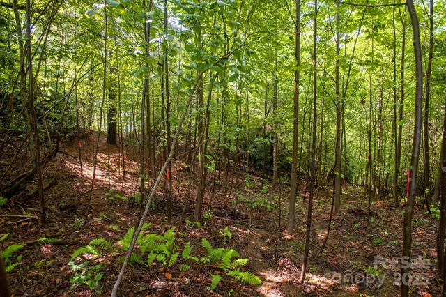 $399,000 | Lot # Masterpiece View Drive, Unit 2, Hendersonville, NC 28739