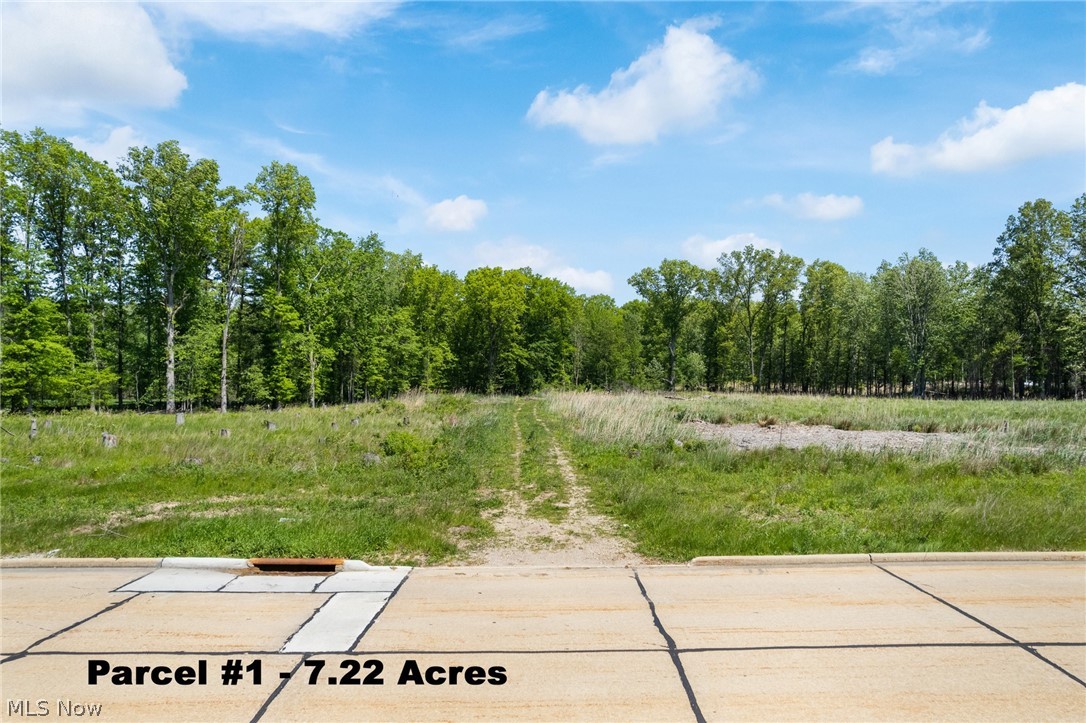 Clemens Road Westlake, OH 44145 - Photo 11 of 19