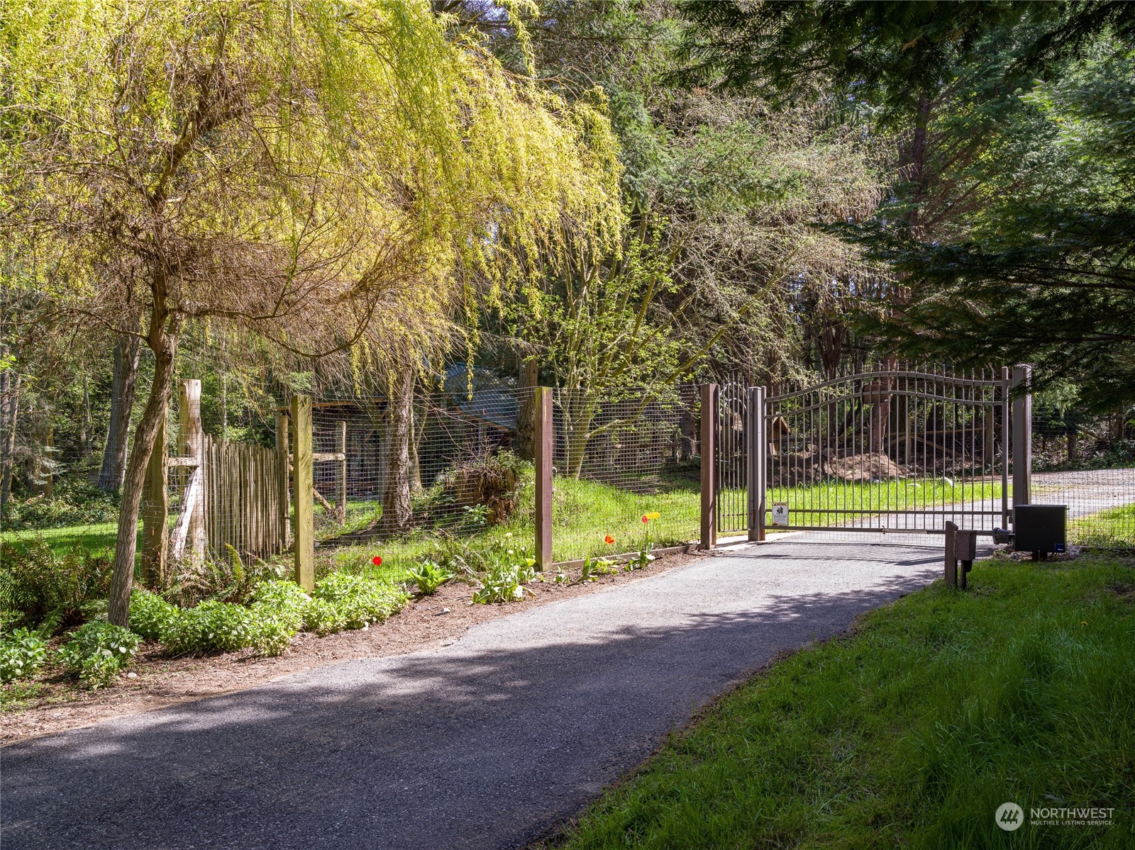 777 Eliza Road Lopez Island, WA 98261 - Photo 37 of 38 a view of park with large trees