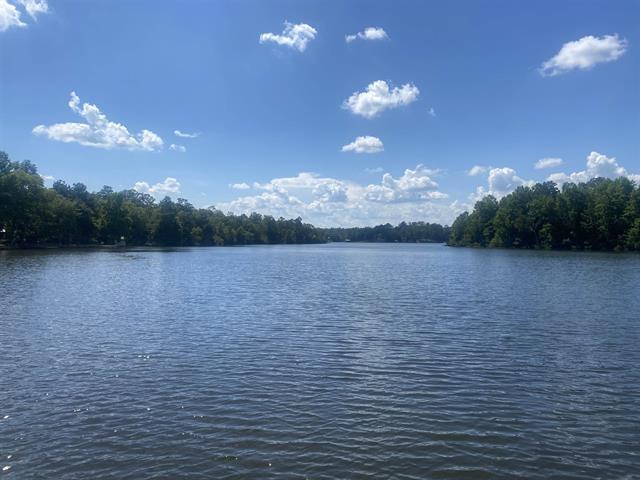 0 Pitts River Road Andalusia, AL 36421 - Photo 1 of 5 a view of a lake view