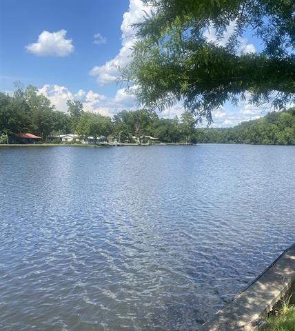 0 Pitts River Road Andalusia, AL 36421 - Photo 2 of 5 a view of a lake from a yard
