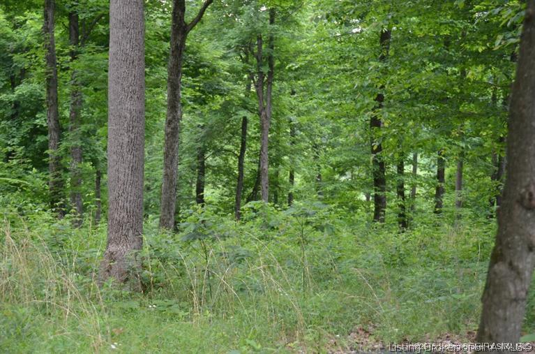 4 Alden Road Southeast Elizabeth, IN 47117 - Photo 3 of 15