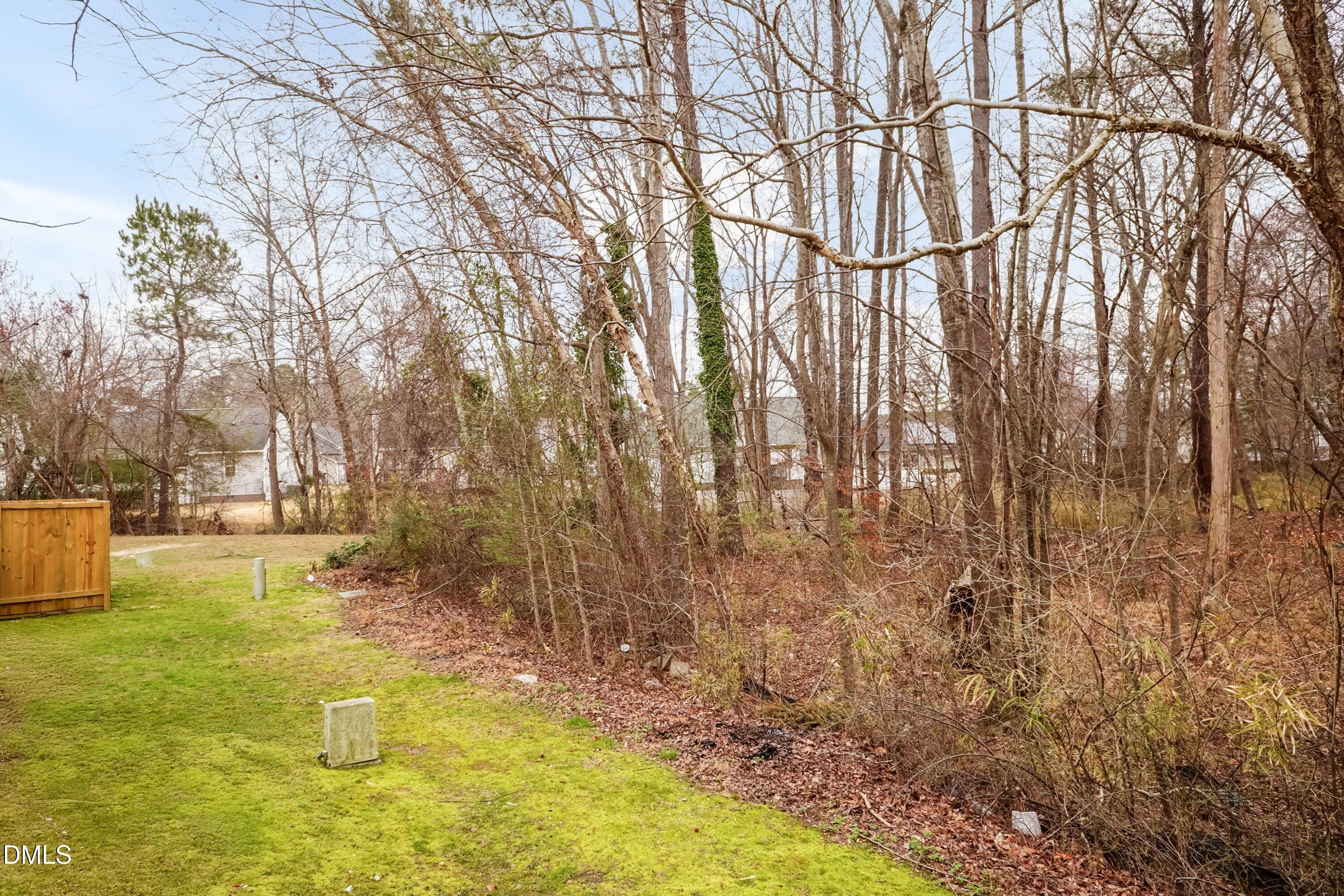 2213 Violet Bluff Court Raleigh, NC 27610 - Photo 25 of 26 Back Yard 01