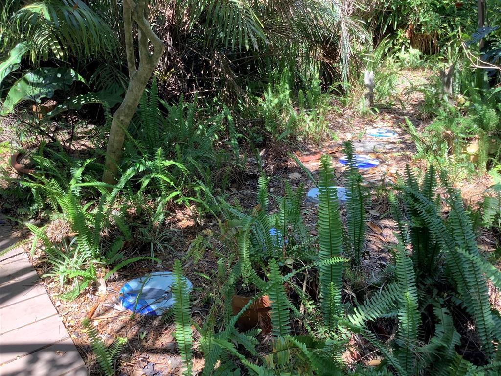 16921 Crawley Road Odessa, FL 33556 - Photo 47 of 53