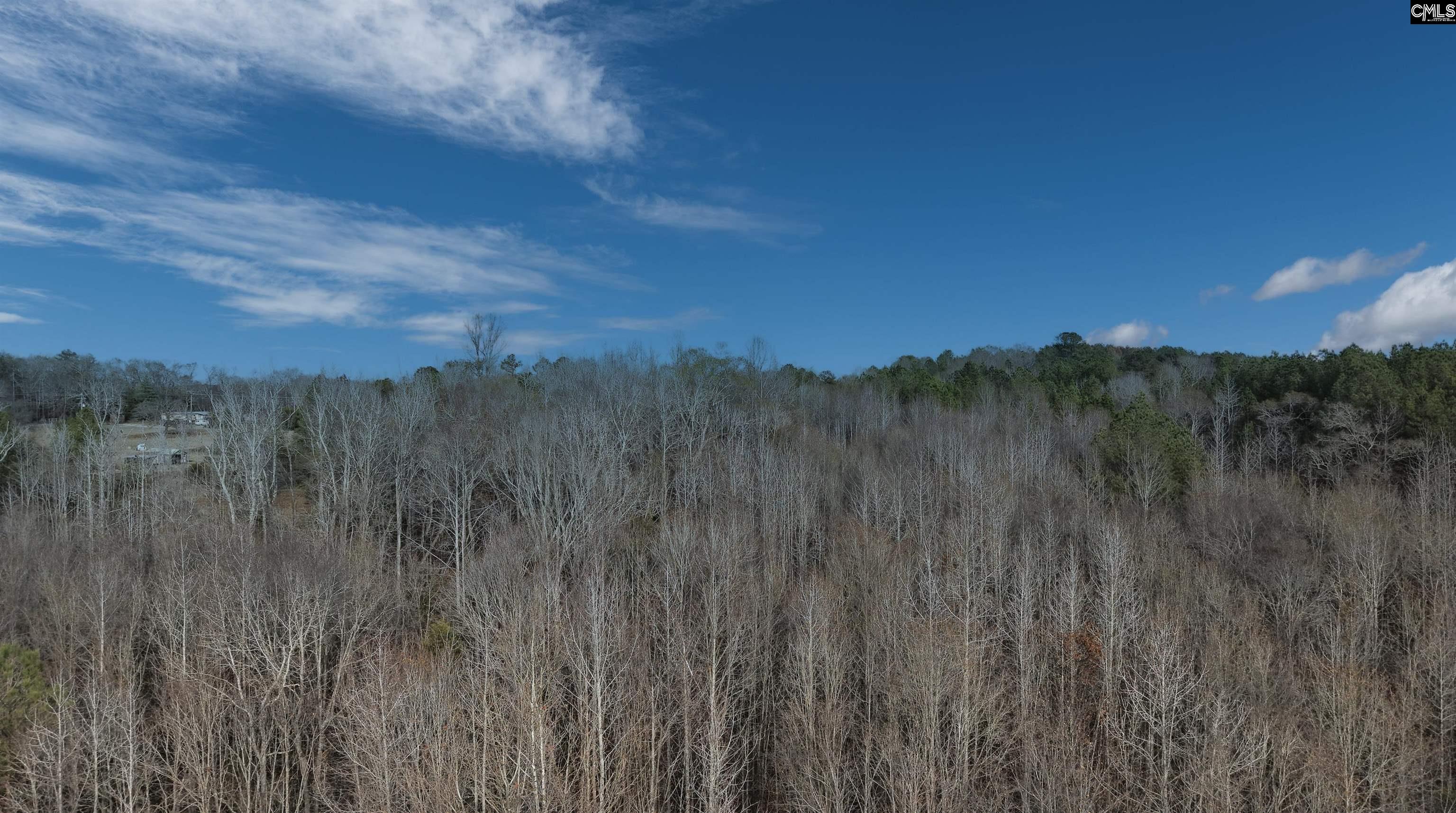 428 Horseshoe Road Honea Path, SC 29654 - Photo 10 of 17