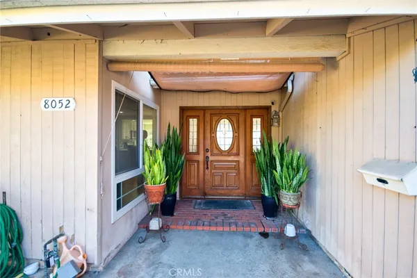 a potted plant in front of a door