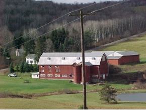 217 Marks Road Lisle, NY 13797 - Photo 3 of 6 Gallery Image 3