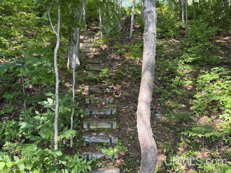 8713 Boot Lake Road Manistique, MI 49854 - Photo 4 of 12 Gallery Image 4