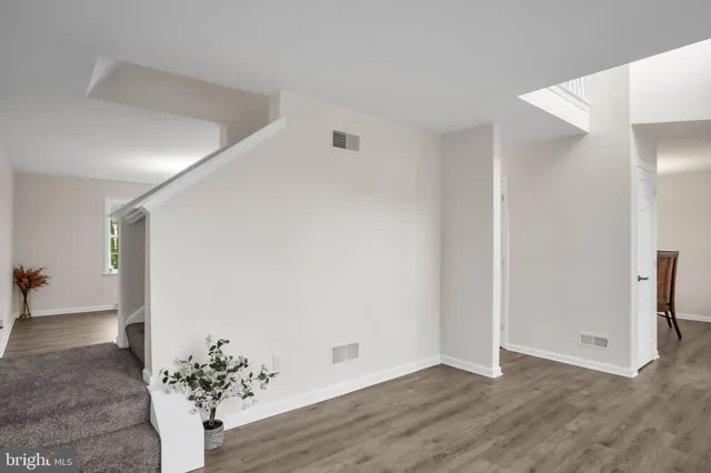 an empty room with wooden floor and potted plant