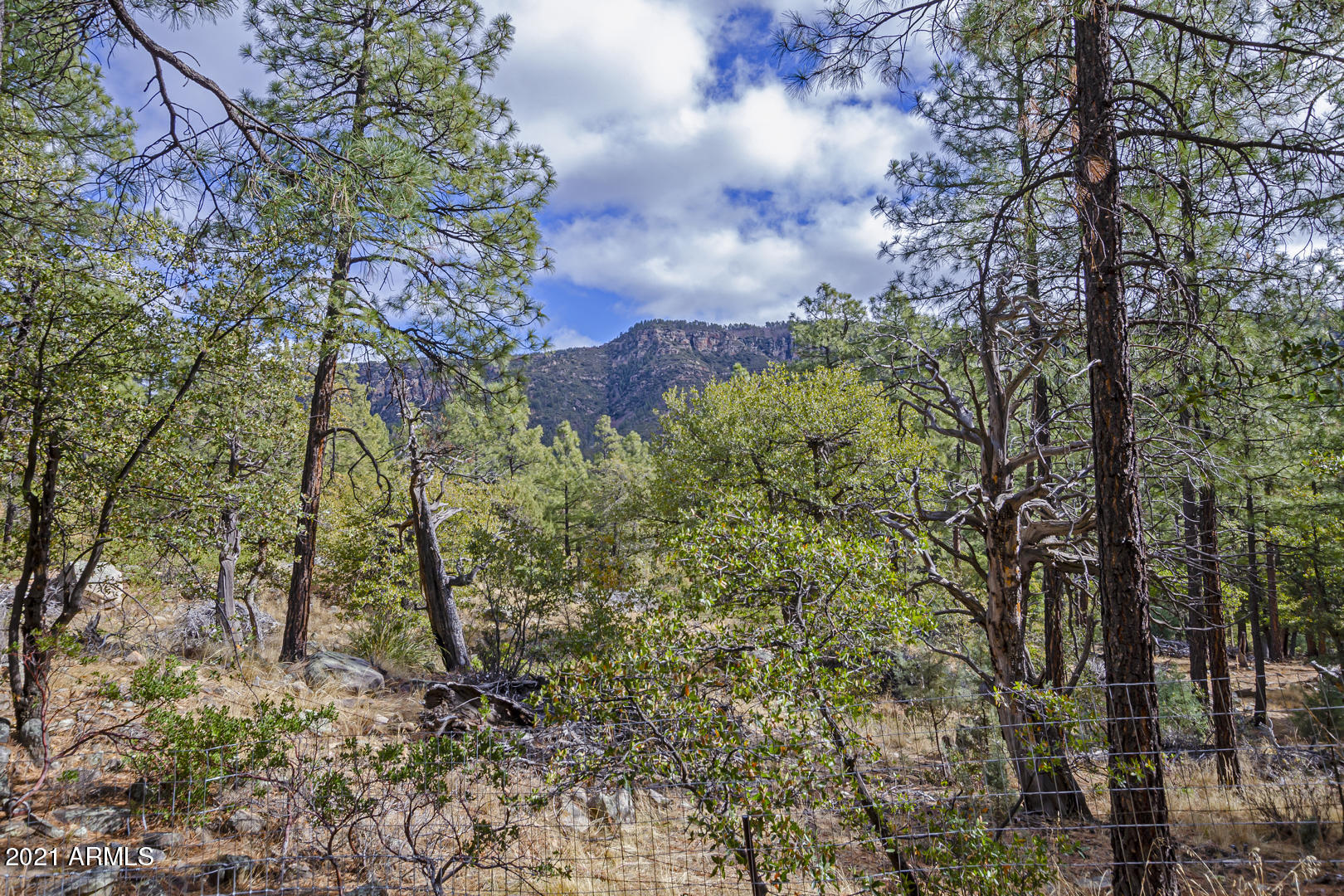 5197 Juniper Loop Pine, AZ 85544 - Photo 21 of 30 Mountain & forest views