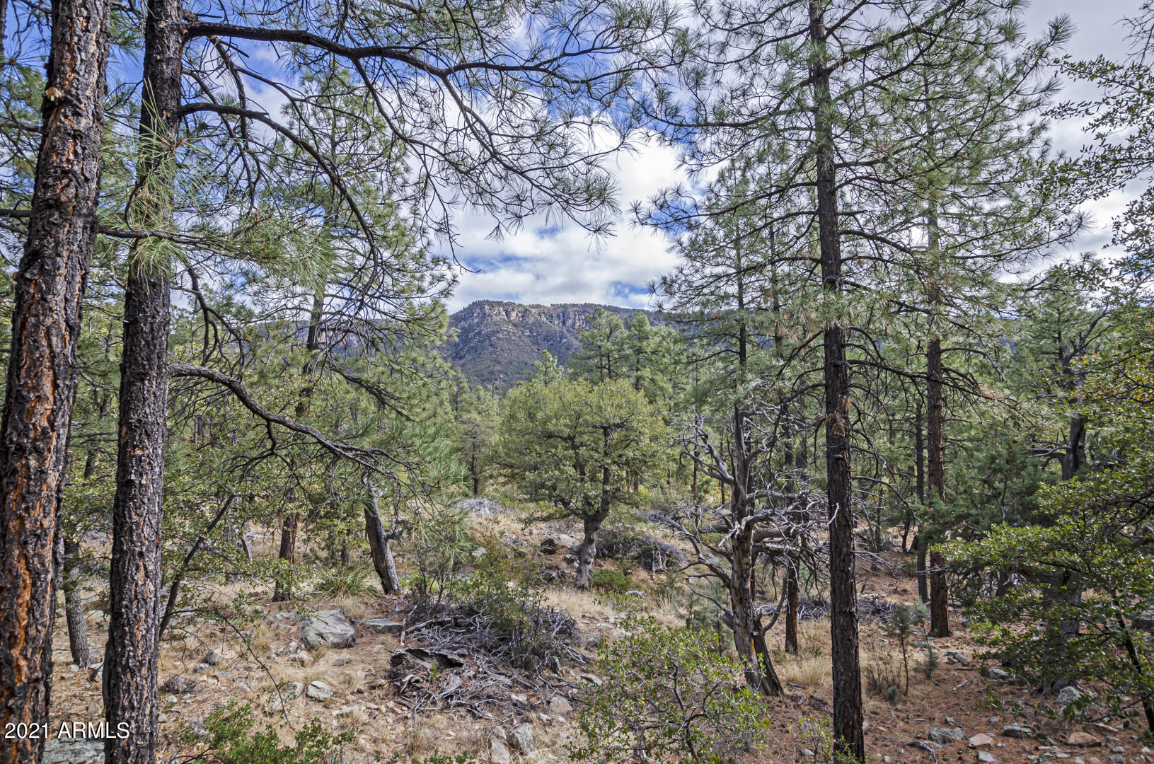 5197 Juniper Loop Pine, AZ 85544 - Photo 22 of 30 Private backyard
