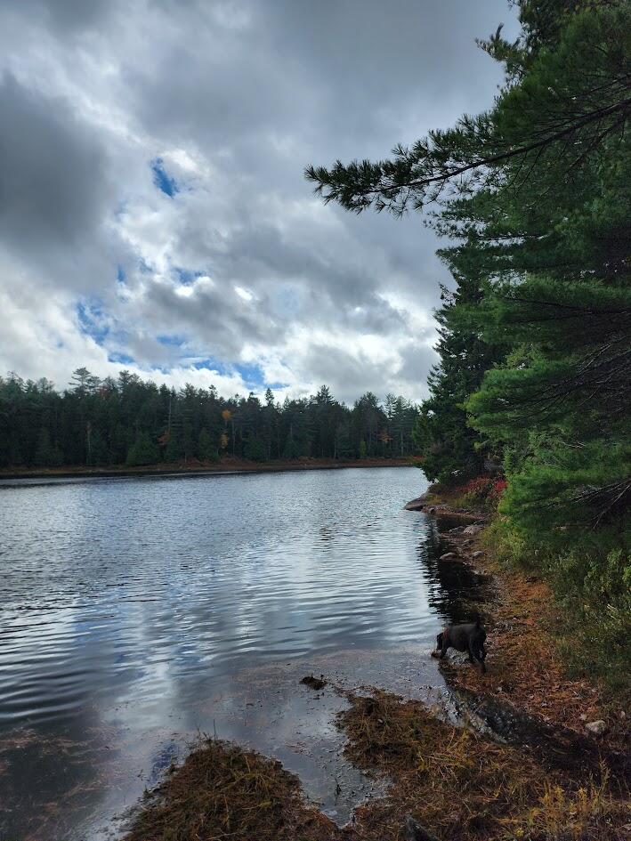 Off Northfield Road Machias, ME 04654 - Photo 18 of 39 20251021_123328