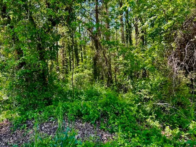 a view of a lush green forest
