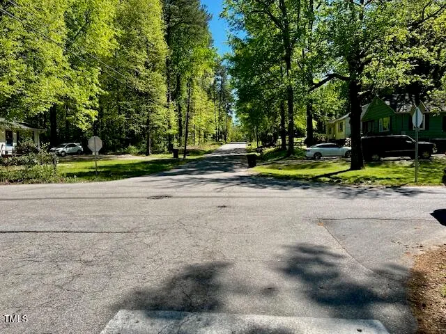a view of backyard with green space