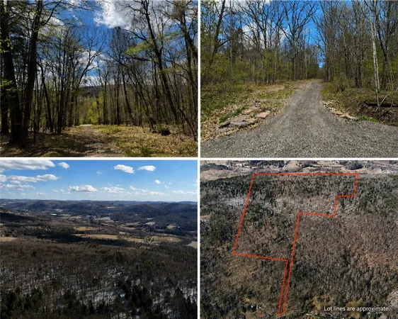 $225,000 | 0 Patent Line Road, Franklin, NY 13775