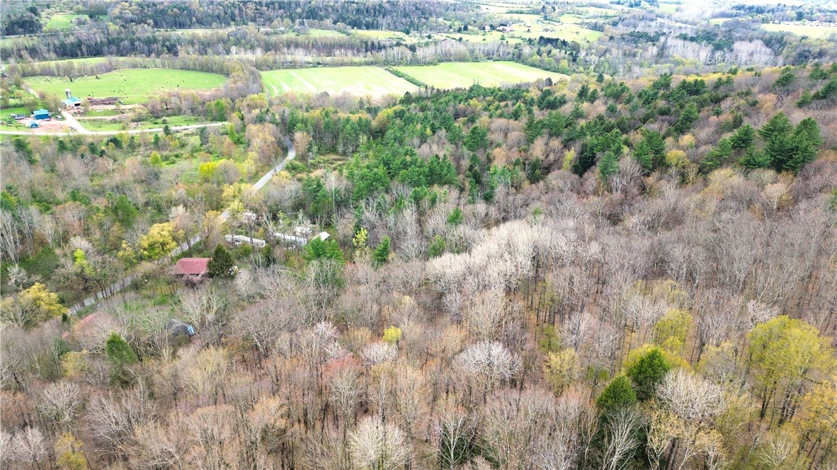 0 Patent Line Road Franklin, NY 13775 - Photo 11 of 45