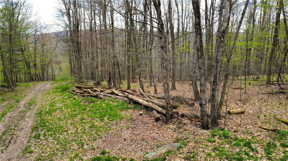 0 Patent Line Road Franklin, NY 13775 - Photo 15 of 45