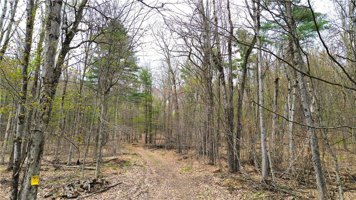 0 Patent Line Road Franklin, NY 13775 - Photo 17 of 45
