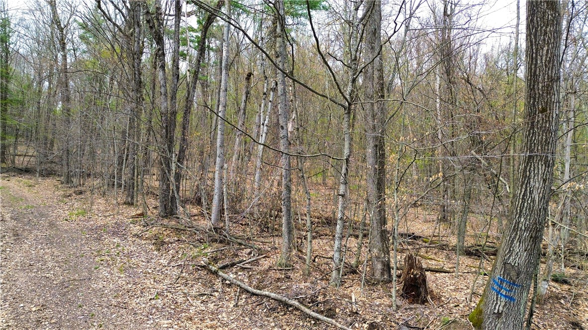 0 Patent Line Road Franklin, NY 13775 - Photo 18 of 45