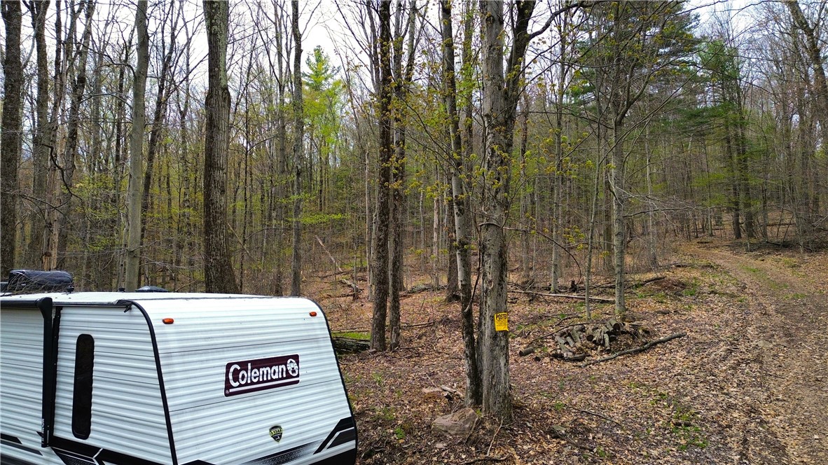 0 Patent Line Road Franklin, NY 13775 - Photo 19 of 45