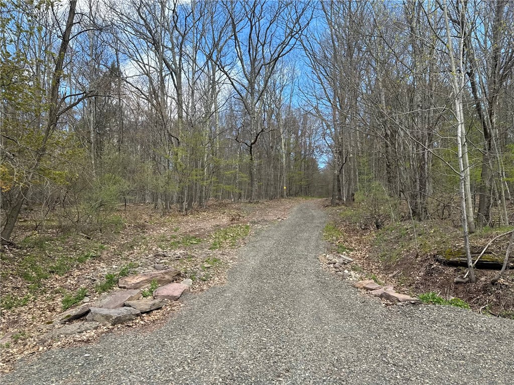 0 Patent Line Road Franklin, NY 13775 - Photo 2 of 45