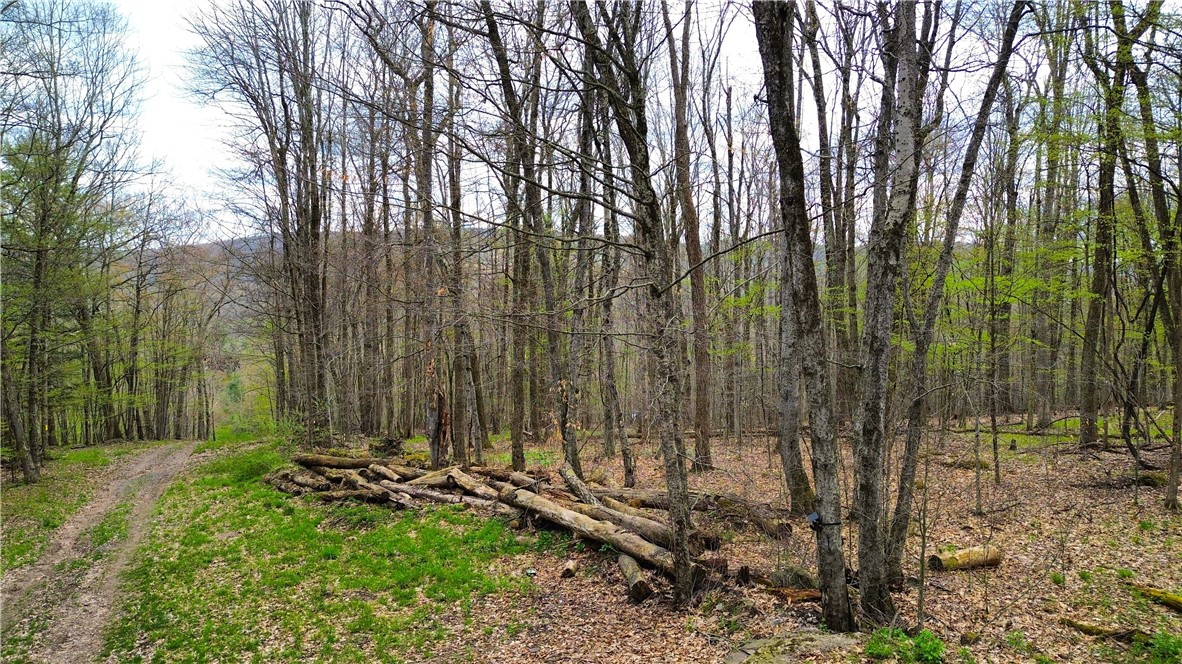 0 Patent Line Road Franklin, NY 13775 - Photo 21 of 45