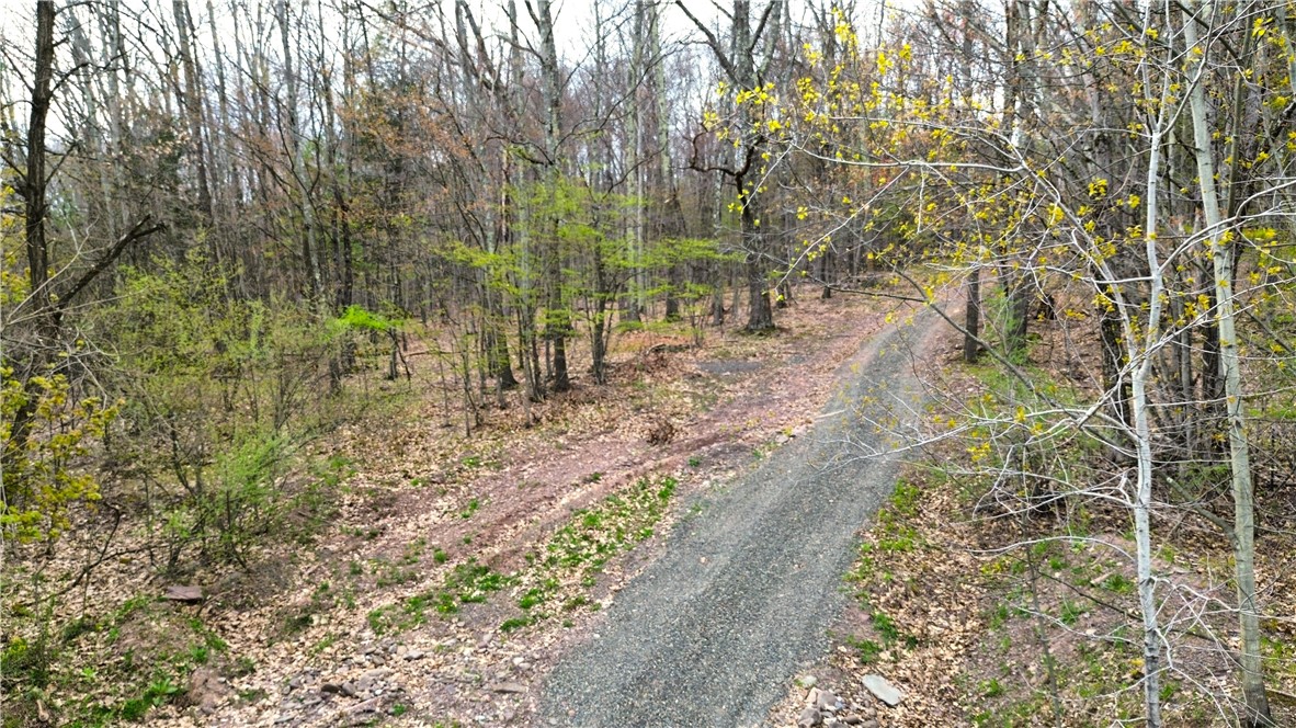 0 Patent Line Road Franklin, NY 13775 - Photo 22 of 45
