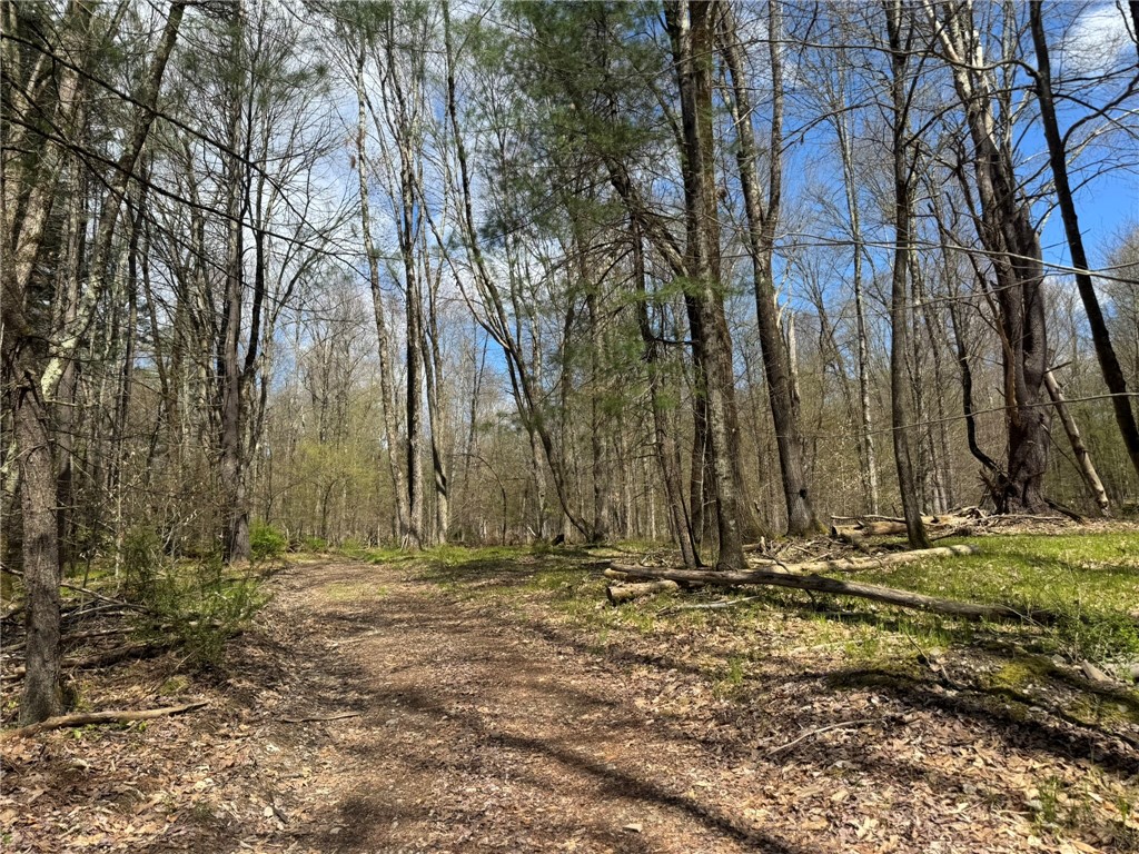 0 Patent Line Road Franklin, NY 13775 - Photo 23 of 45