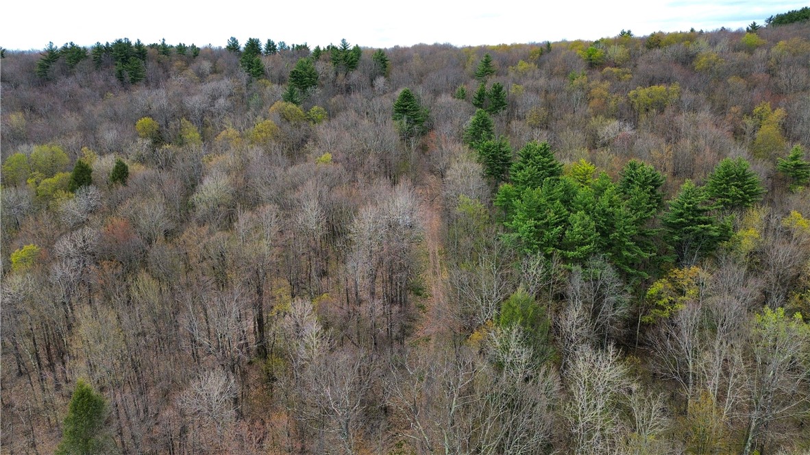 0 Patent Line Road Franklin, NY 13775 - Photo 24 of 45