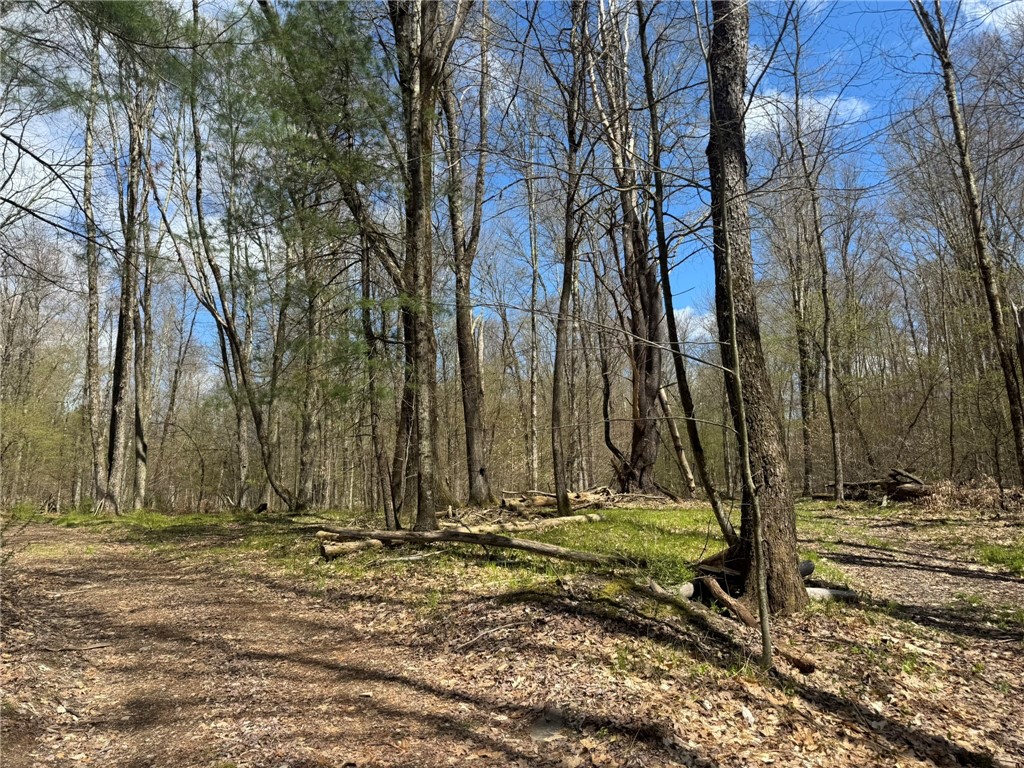 0 Patent Line Road Franklin, NY 13775 - Photo 25 of 45