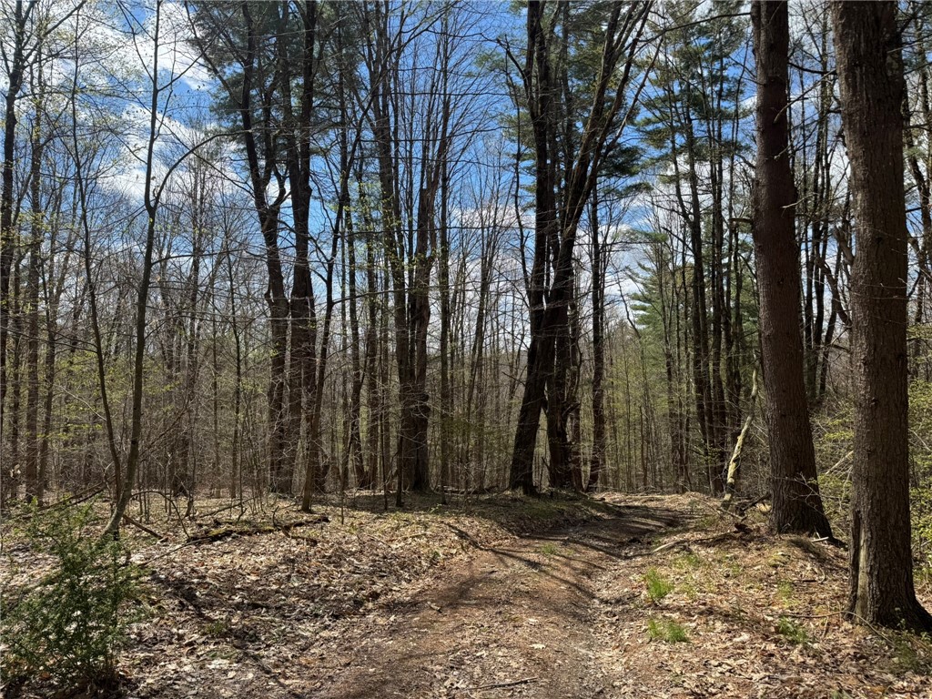 0 Patent Line Road Franklin, NY 13775 - Photo 26 of 45